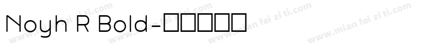 Noyh R Bold字体转换